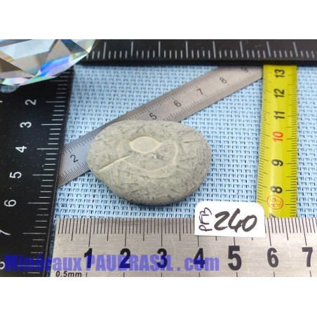 Pierre des Fées du Canada 13g