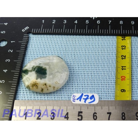 Agate Mousse en Pierre Plate 20g