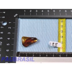 Ambre Pologne semi polie 2gr