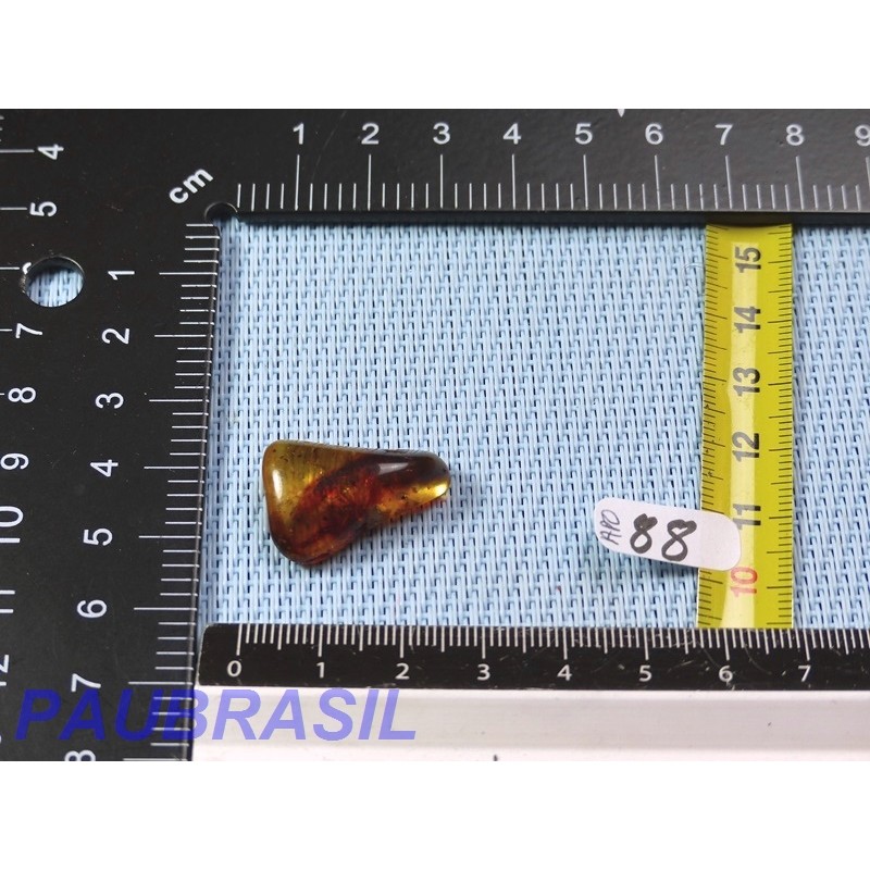 Ambre Pologne semi polie 2gr