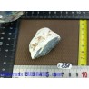Angelite Anhydrite bleue en pierre brute de 64g