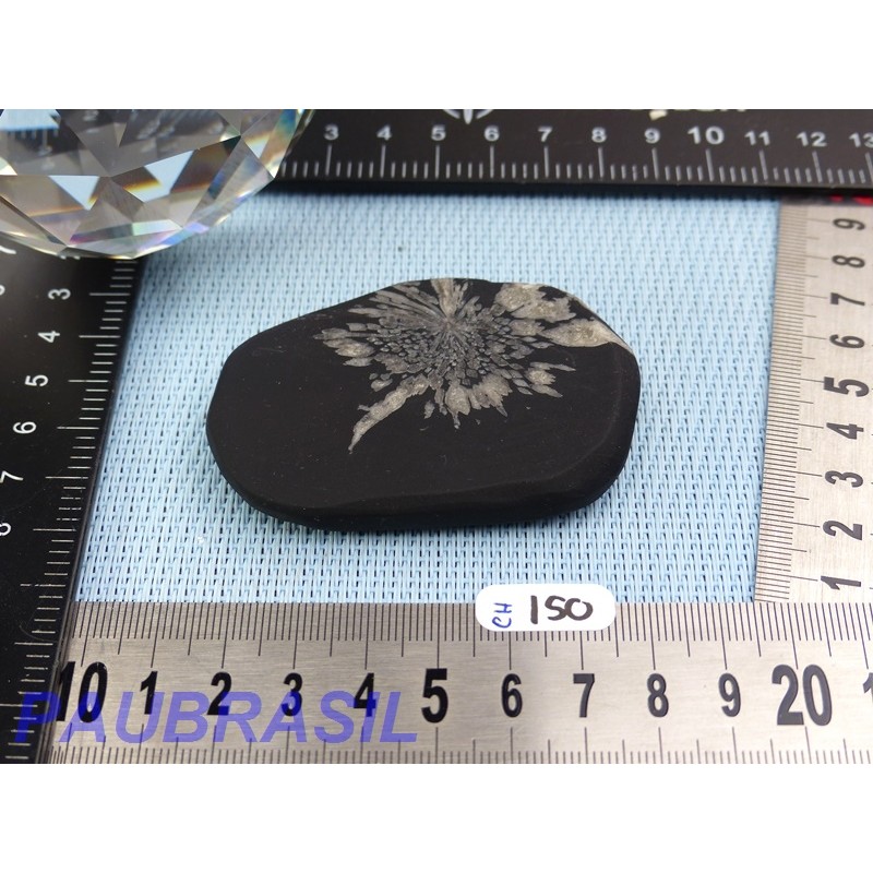 Pierre Chrysanthème Chrysanthemum stone 65gr