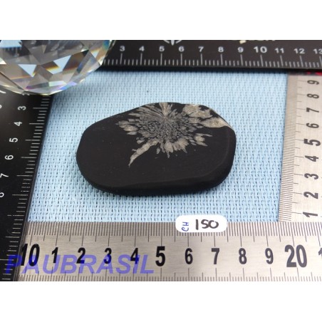 Pierre Chrysanthème Chrysanthemum stone 65gr