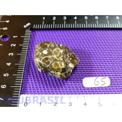 Agate Turitelle - Turritellas Jaspis 22gr