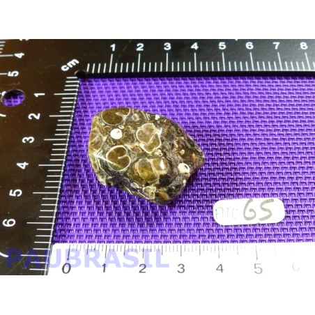 Agate Turitelle - Turritellas Jaspis 22gr