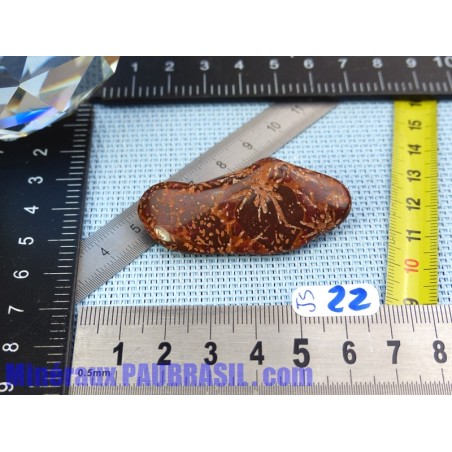 Jaspe Etoilé - Starburst Jasper pierre roulée Q Extra 16g