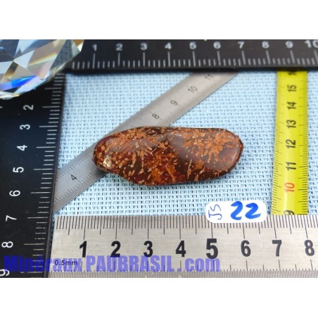 Jaspe Etoilé - Starburst Jasper pierre roulée Q Extra 16g